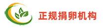 伟创网络科技
